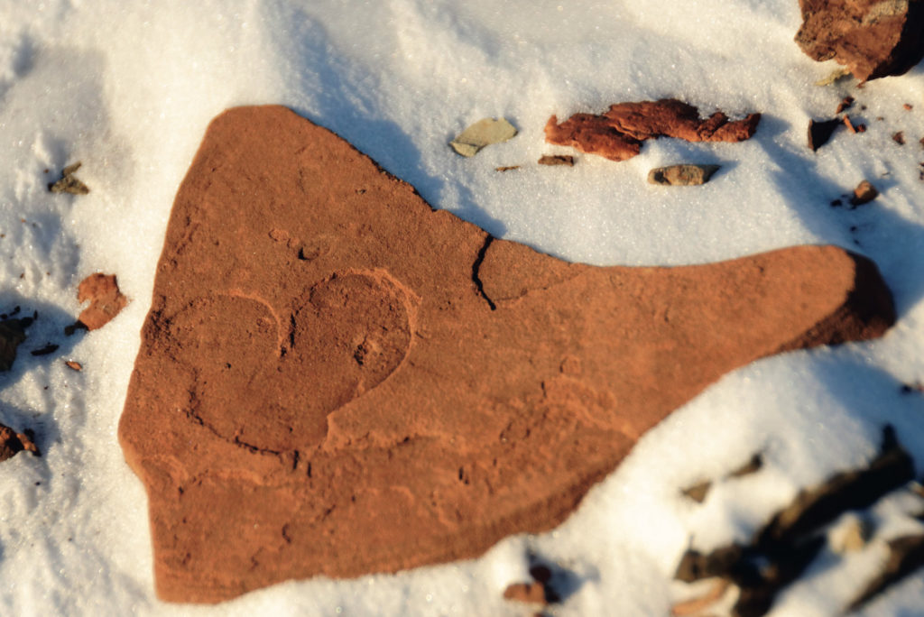 The heartbeat of the Arctic