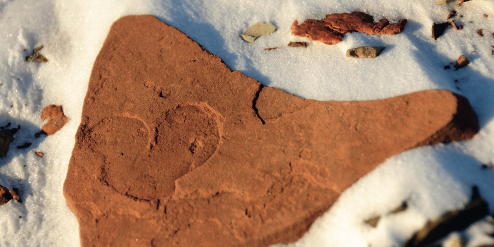 The heartbeat of the Arctic